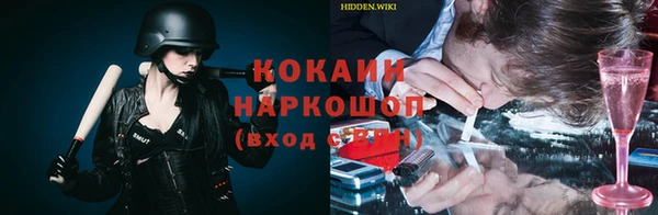 МДПВ Кукмор