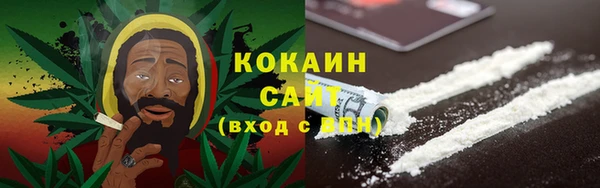 Альфа ПВП Кулебаки
