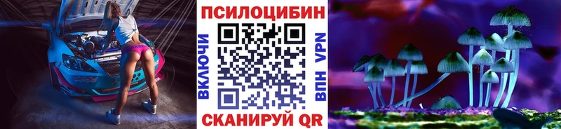 Купить закладки  Закаменск  Галлюциногенные грибы Psilocybine cubensis 